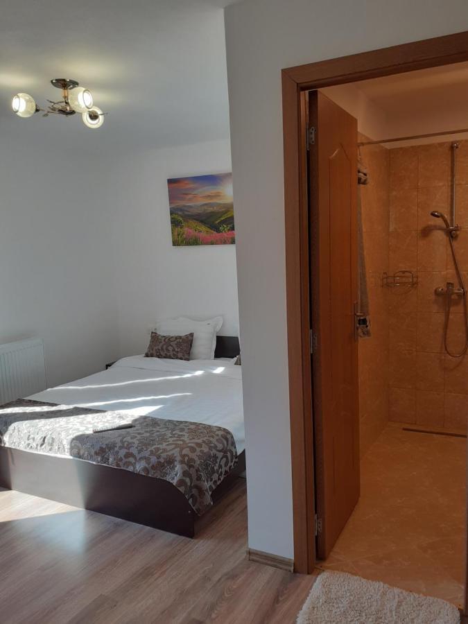 Casa Mosoiu Διαμέρισμα Μπραν Εξωτερικό φωτογραφία